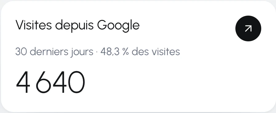 Détail de la page Mots-clés : cadre « Visites depuis Google », 4 640 visites sur les 30 derniers jours, soit 48,3 % des visites
